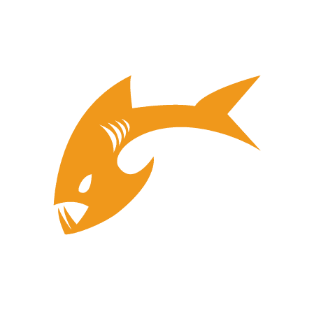 Payara Services Ltd